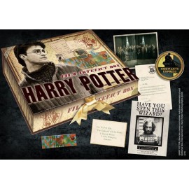 HARRY POTTER - Boite d’artefacts Harry Potter