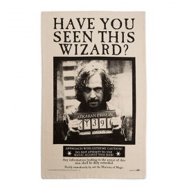 Have You Seen This Wizard? Poster Tea Towel - Harry Potter torchon