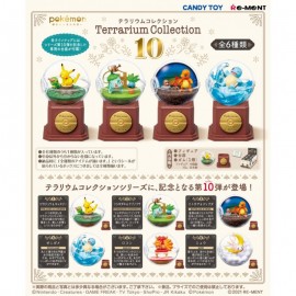 Pokemon Terrarium Collection 10 6 pack box