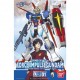 GUNDAM force impulse 1/100 ZGMF-X56S/x seed destiny