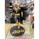 KOTOBUKIYA ARTFX JAPAN POKEMON HARUKA with ACHAMO figure poussifeu